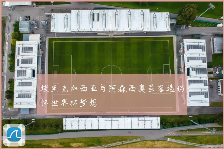 埃里克加西亚与阿森西奥虽落选仍怀世界杯梦想