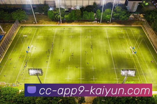 开云体育APP 高清赛事图